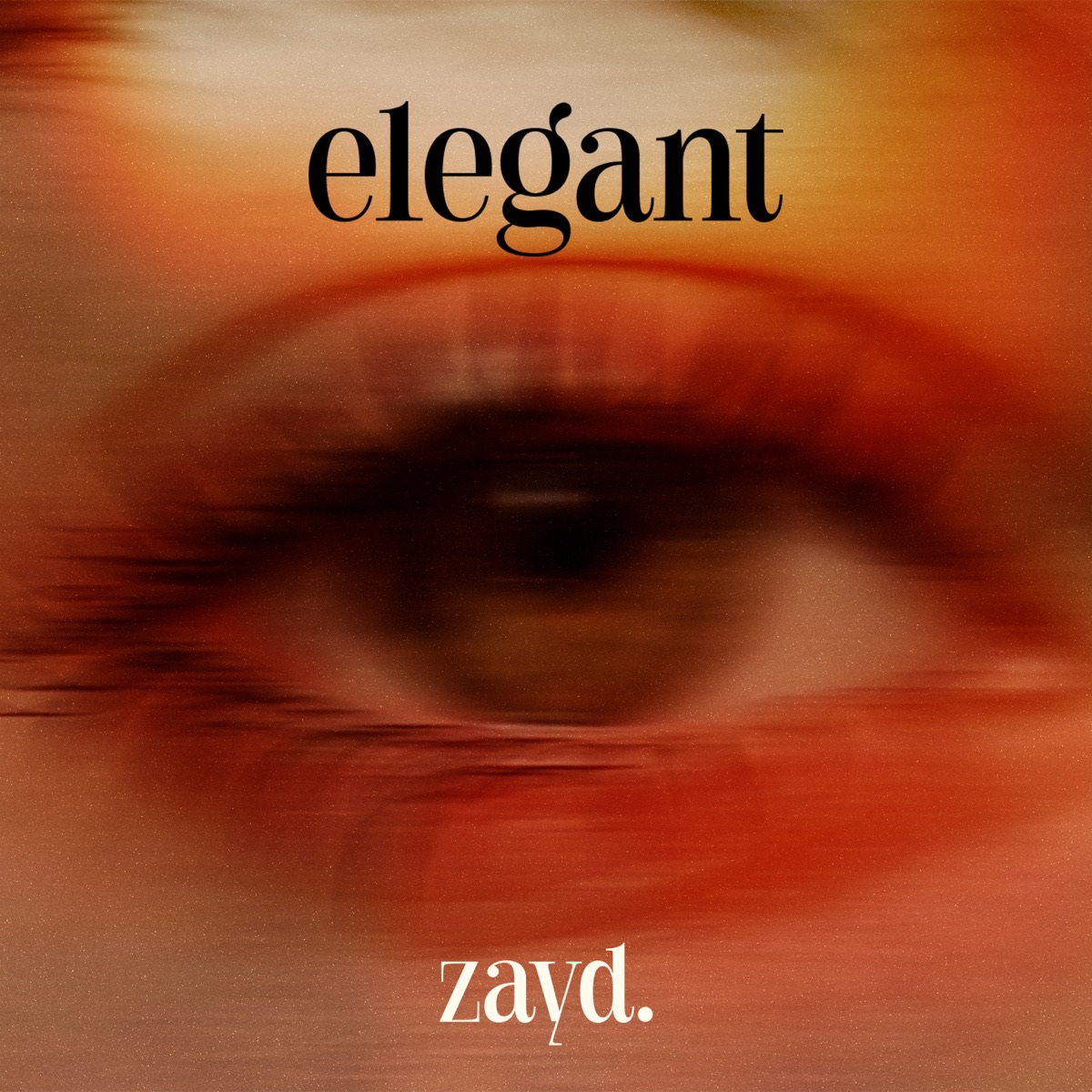 zayd. - elegant cover